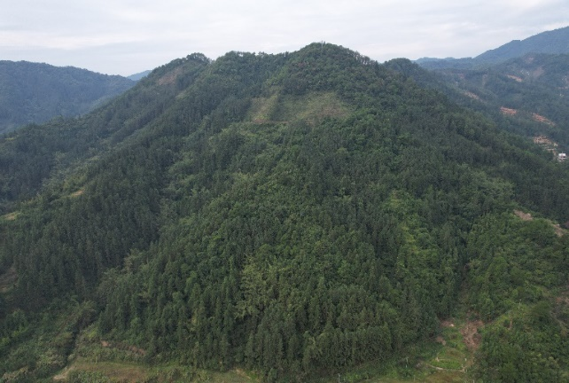 中國有研：深入踐行習(xí)近平生態(tài)文明思想，扎實開展主題教育助推美麗中國建設(shè)