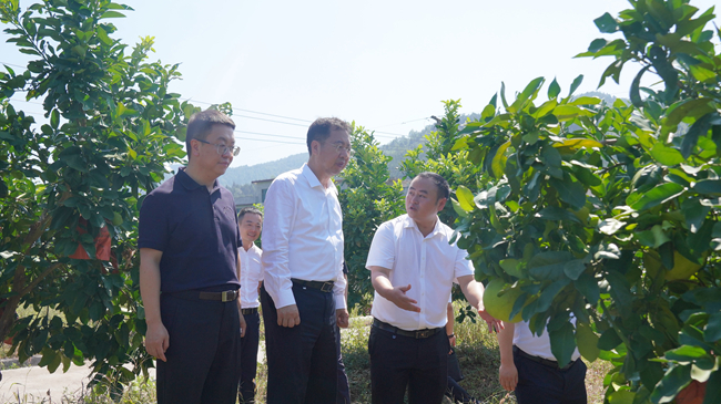 中國有研黨委書記、董事長趙曉晨赴貴州思南調(diào)研集團定點幫扶工作